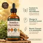 kinetica thyroid drops
