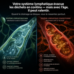 kinetica drainant lympha goutes