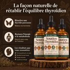 kinetica thyroid drops
