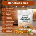 Benefices cles de l'extrait d'ail vieilli Kinetica